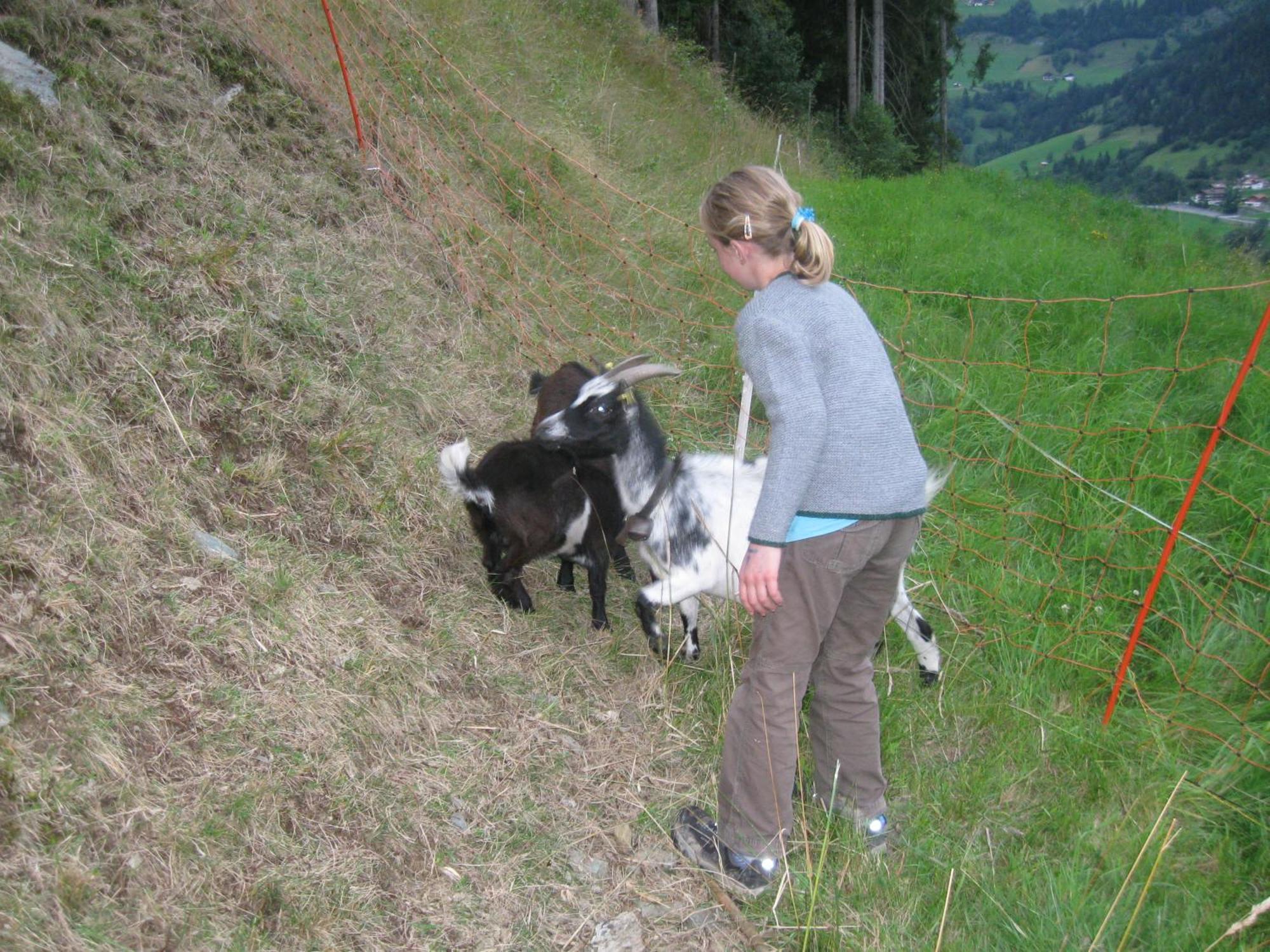 Schaidreithof Grossarl Bagian luar foto