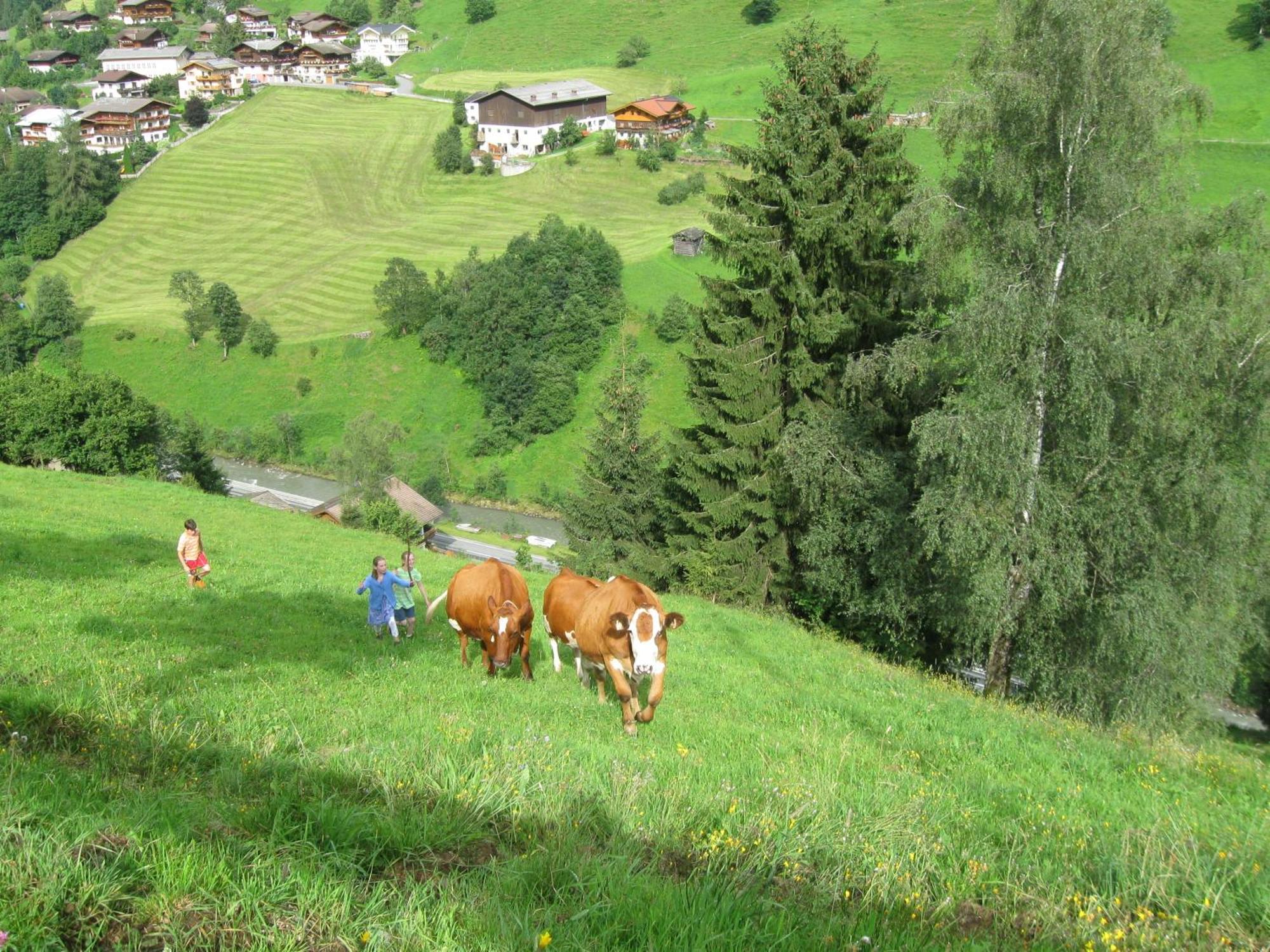Schaidreithof Grossarl Bagian luar foto
