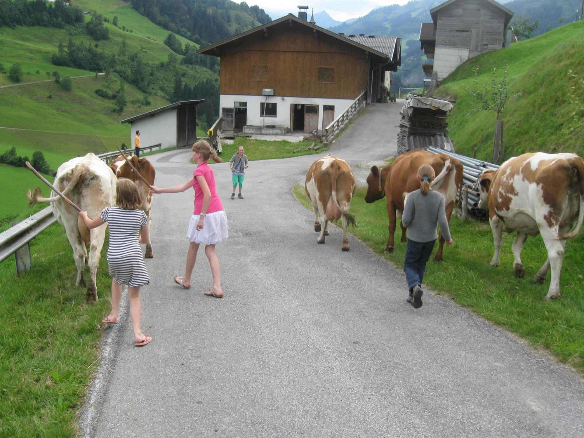 Schaidreithof Grossarl Bagian luar foto