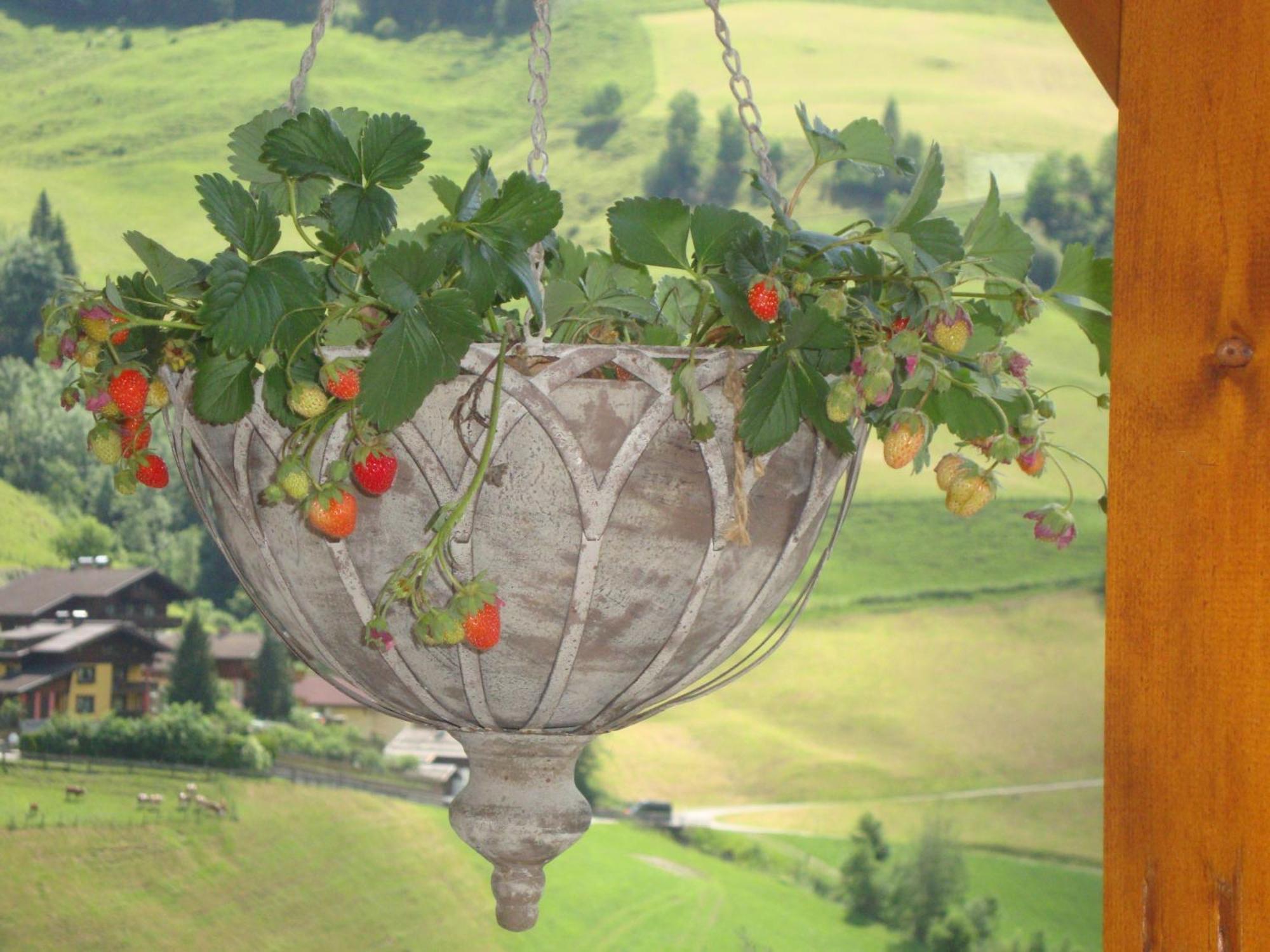 Schaidreithof Grossarl Bagian luar foto